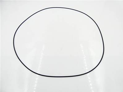 O-Ring 204692