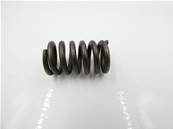 Spring TIMBCO 21881