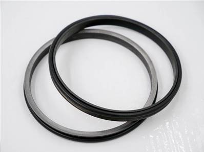 Seal Ring Eco Log 7014790