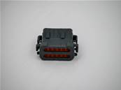 Plug 12-Pin Eco Log 7022379