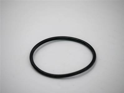 O-Ring Eco Log 7030781