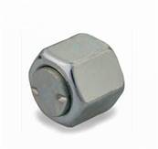 Female cap ORFS 1 11/16 Parker 20FNMLS