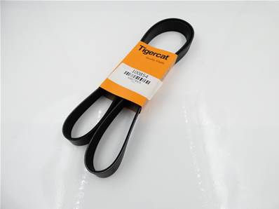 Belt Serpentine