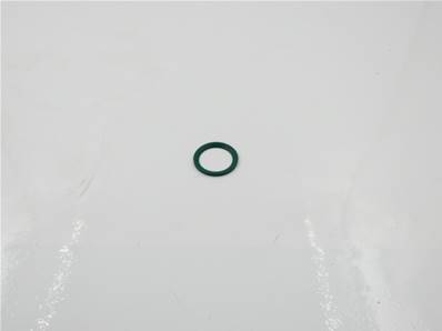 O-Ring Viton M18 Plug