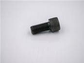 Bolt-Socket Head Eco Log 7012701