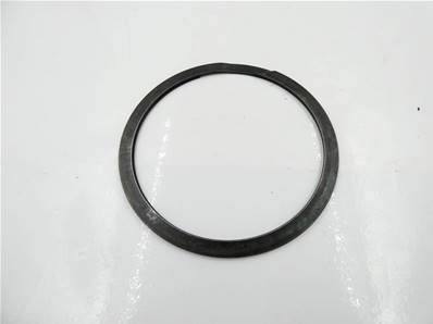 Ring Retaining 212069